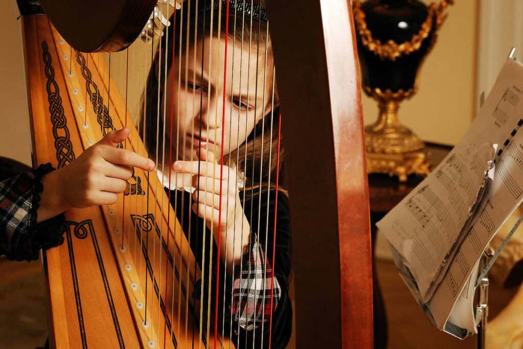 Musikschule Region Baden | Harfe