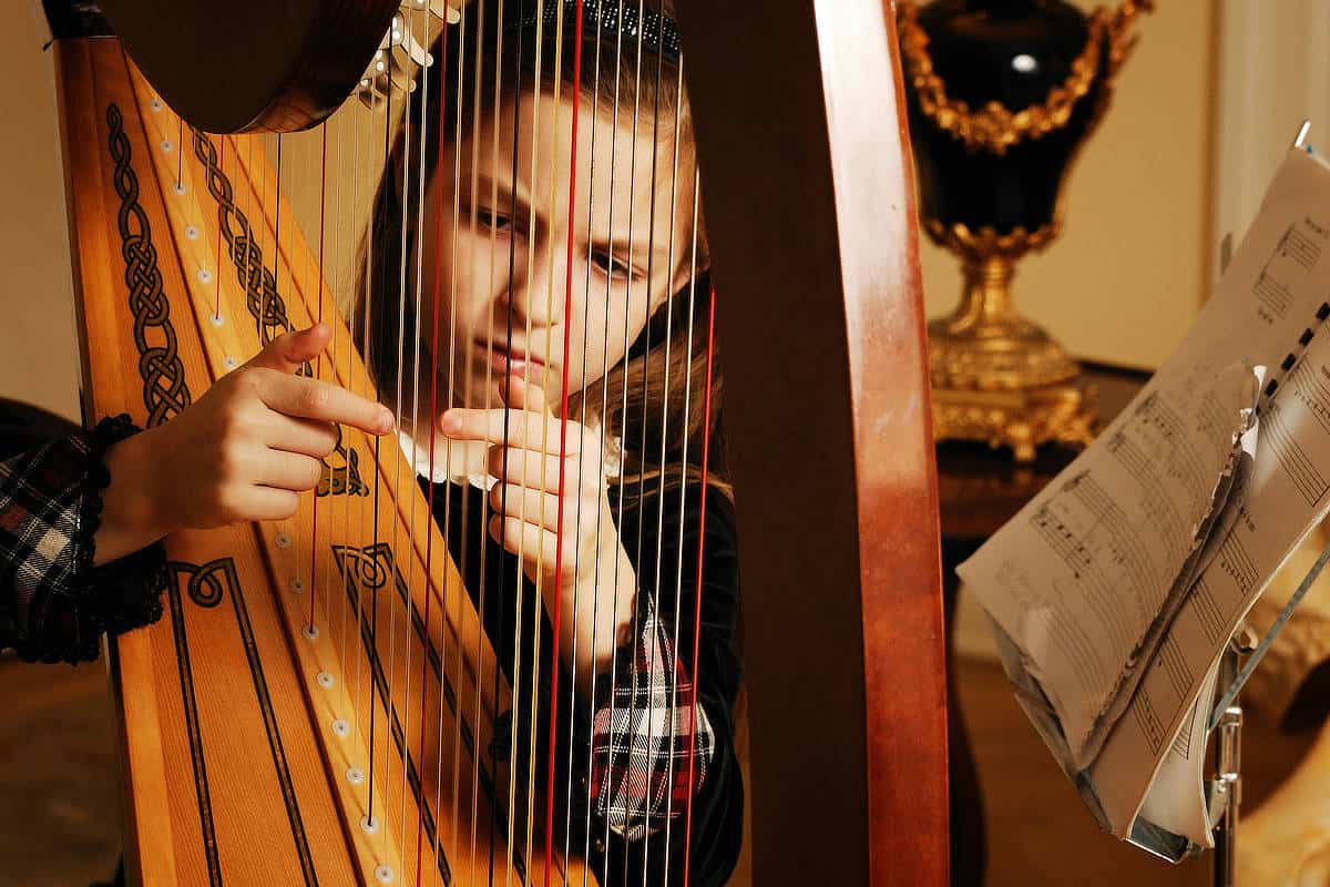 Musikschule Region Baden | Harfe